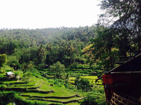 Bali - Onderweg naar Lovina