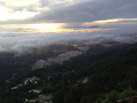 Tana Toraja - Toraja Morning View
