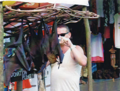 Ubud - op de markt kon je de vleerhonden zo groot waren ze aanraken best wel zielig