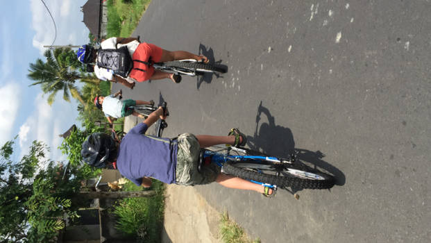 Ubud - Fietstocht met zus en zoons. "Links blijven!!!... help!