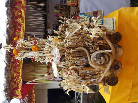 Bali - Bruiloft varken