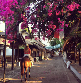 Bali - I would travel only by horse, if I had the choice