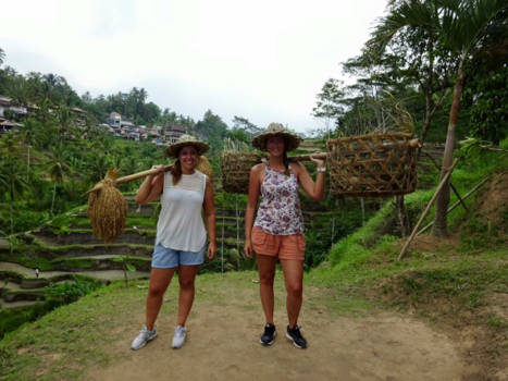 Bali - Rijstvelden Ubud