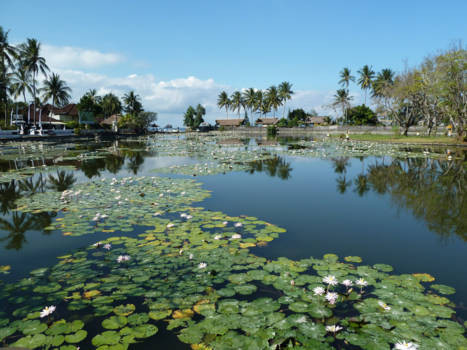 Bali - Candidasa, Bali-Indonesië