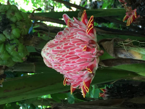 Bali - Noord-Bali!!!