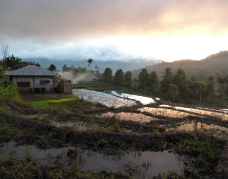 Bali - Detusoko, Flores-Indonesia