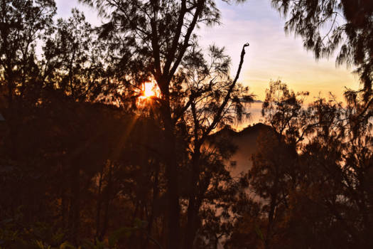 Java - Zonsopkomst bromo