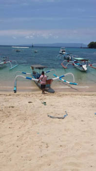Bali - De prauw het typische balinese vissersbootje. Dolfijnen spotten.