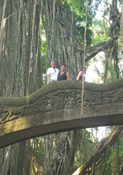 Bali - MONKEY FOREST Ubud / Bali - Indonesie