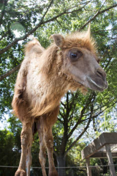 Jakarta - Goedemorgen!