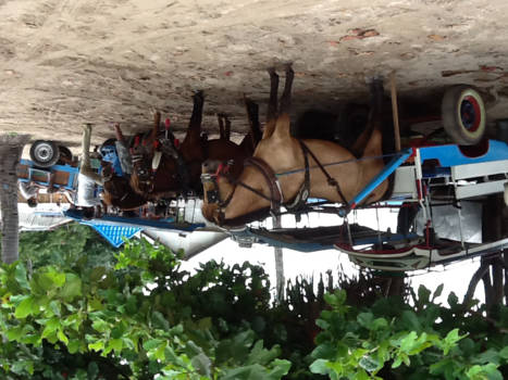 Tirtagangga - Gili air, eilandje zonder gemotoriseerd verkeer, heerlijkmrustig.