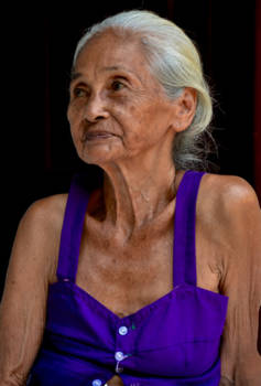 Java - Javaanse schone