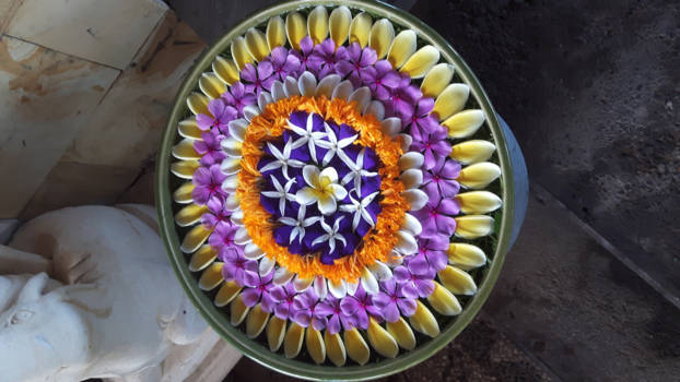 Bali - Bali bloemetjes!