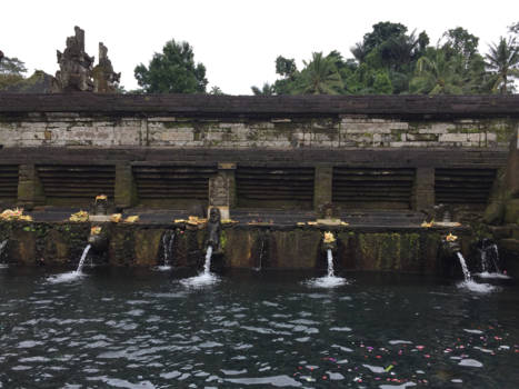 Bali - Tirta Empul