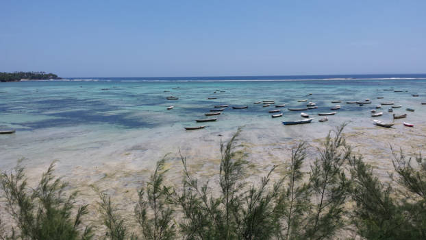 Nusa Lembongan - Vijftig tinten blauw