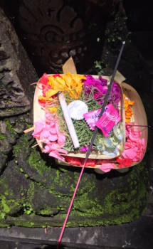 Bali - Bijzondere offertjes