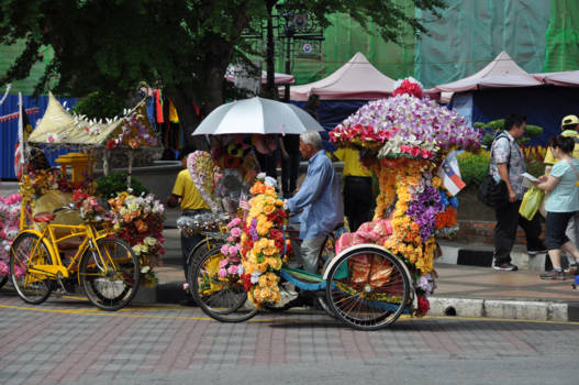 Malang - Hadden wij maar zulke vrolijke fietsen in Nederland