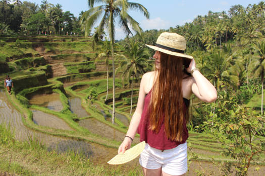 Ubud - Tegalalang Rice Terrace Bali