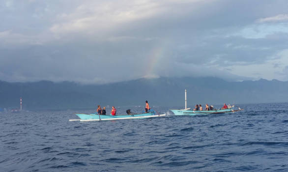 Bali - Dolfijnen spotten Bali