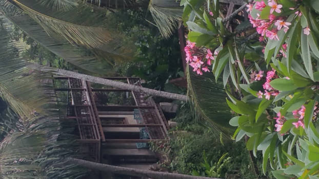 Bali - Huis in de rijstenvelden