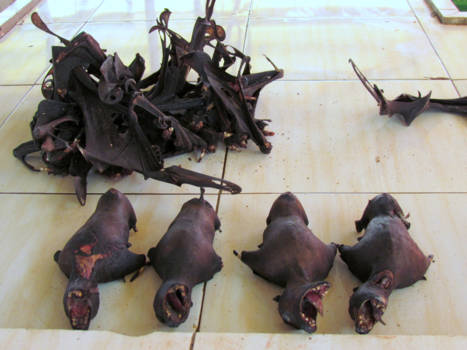 Sulawesi - Op Tomohon's makabere markt