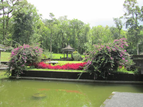 Bali - Botanische tuinen bij de watertempel in het noorden