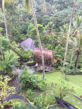 Bali - Hoge bergen en diepe dalen