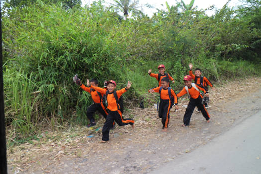 Java - Mee rennen achter paard en wagen