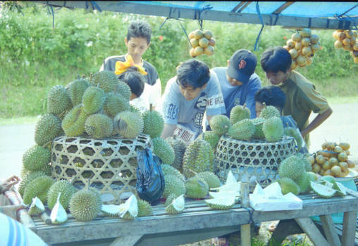 Java - Durian
