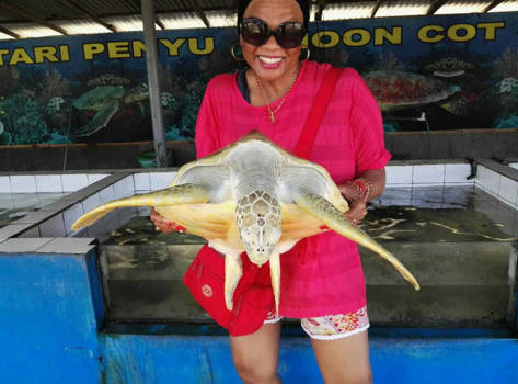 Bali - Life is beautiful