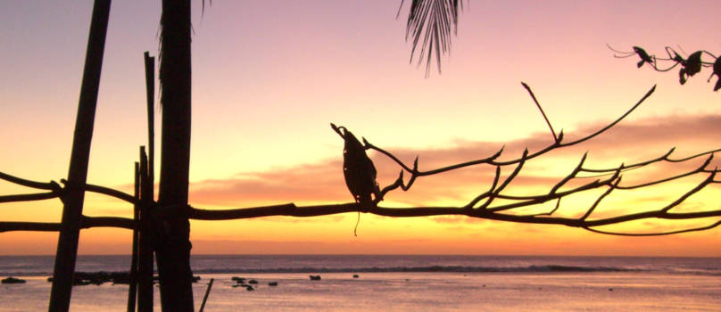 Ujung Kulon National Park - doorkijkje