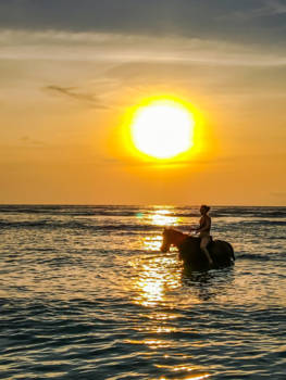 Gili-eilanden - Paard en water