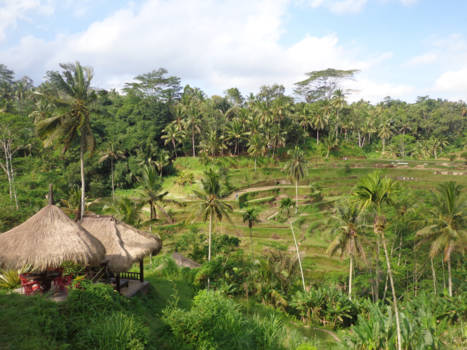 Bali - Rust en verwondering in Bali