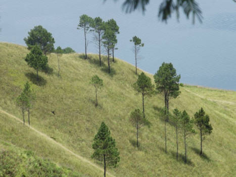 Rondreis Bali & Java - Oneindig