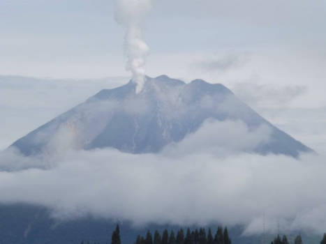 Rondreis Bali & Java - Rust in de house