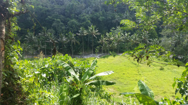 Ubud - Ayung rivier Ubud Bali