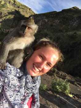 Gunung Batur - Er leven aapjes op de vulkaan!