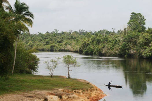 Papoea - Varen in een boomstam.