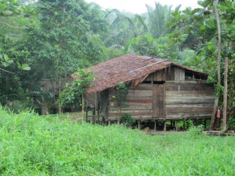 Papoea - Woning van de locals