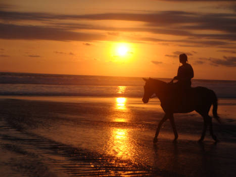 Bali - Paardrijden bij een prachtige zonsondergang te Tabanan