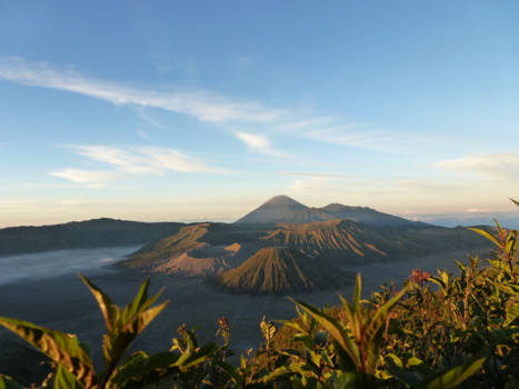 Java - Bromo vulkaan in de vroege ochtend dauw.