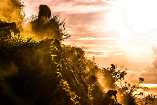 Bali - Apen op Mount Batur