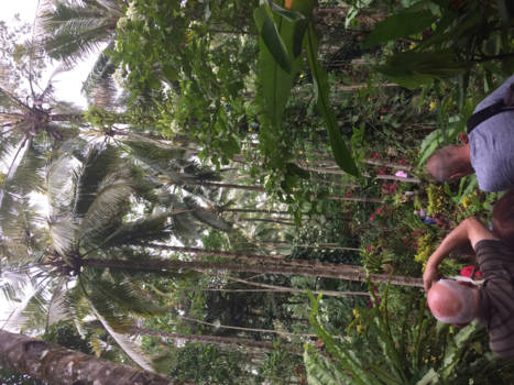 Rondreis Bali & Java - Een geweldige reis