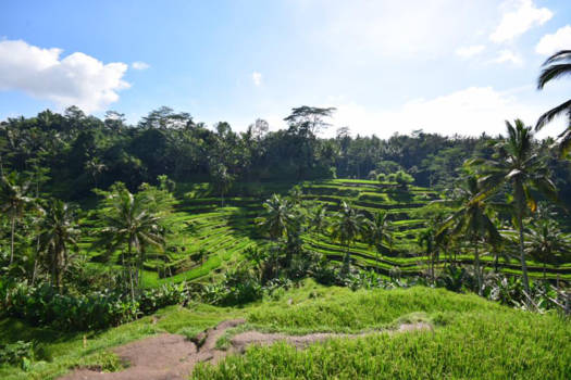 Bali