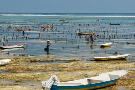 Nusa Lembongan - schoonheid uit de Indische Oceaan