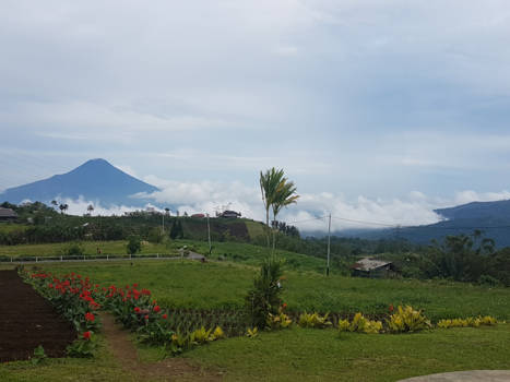 Manado - Home is where the heart belongs