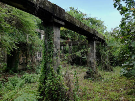 Bali - When nature takes over.