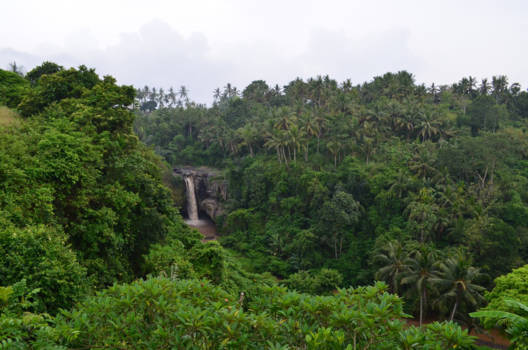 Bali - Waterval in de jungle
