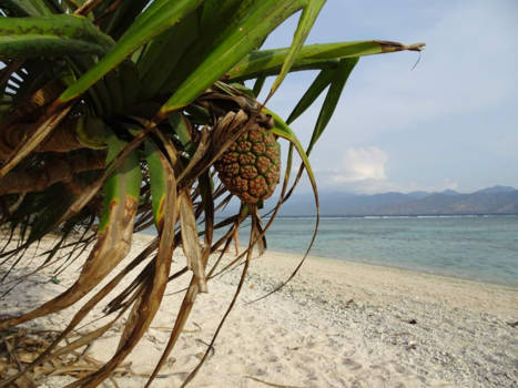 Kuta - Gili Trawangan