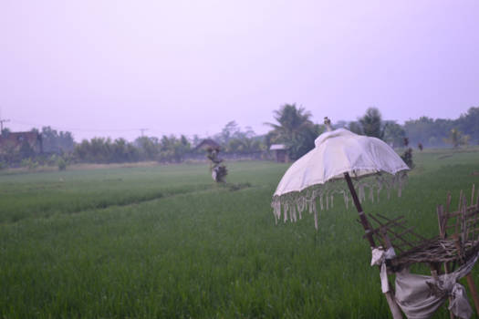 Bali - Offer Plaats In Ubud